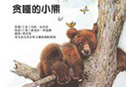 贪睡的小熊