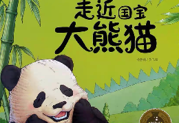 走进国宝，大熊猫