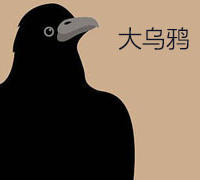 大乌鸦