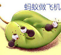 蚂蚁做飞机