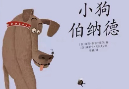 小狗伯纳德