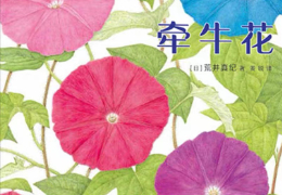 小蜗牛与牵牛花