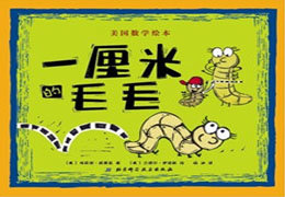 一厘米的毛毛