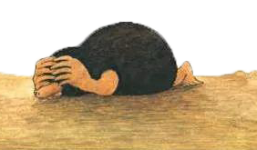 小鼹鼠嘉宝
