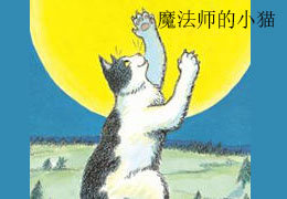 魔法师的小猫