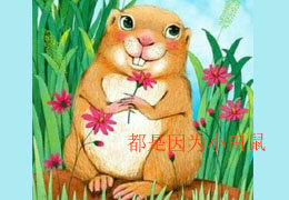 都是因为小田鼠
